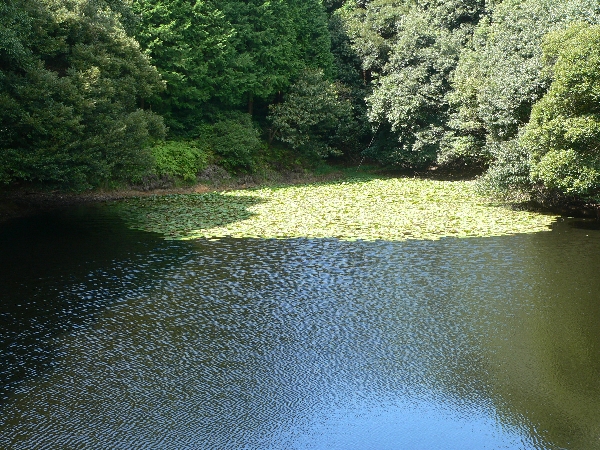 e0002314_21325194.jpg
