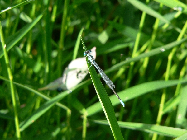 e0002314_21423892.jpg