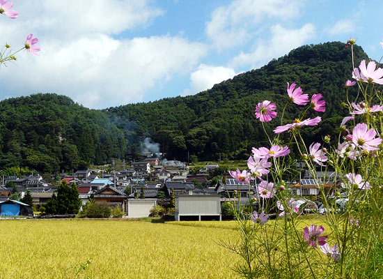 d0066822_8262222.jpg