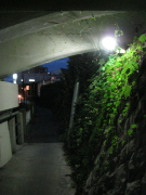 b0147224_22111354.jpg