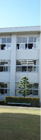 f0107724_942274.jpg