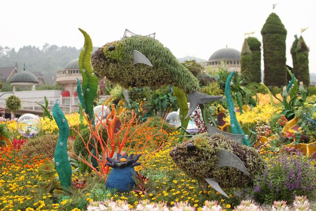 韓国旅行その14 「エバーランドその2＆マッコリ飲み過ぎて・・」_d0148729_1830216.jpg