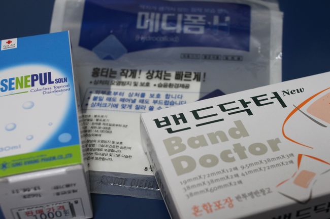 韓国旅行その14 「エバーランドその2＆マッコリ飲み過ぎて・・」_d0148729_19122924.jpg