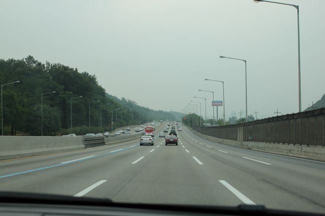 韓国旅行その14 「エバーランドその2＆マッコリ飲み過ぎて・・」_d0148729_1942629.jpg