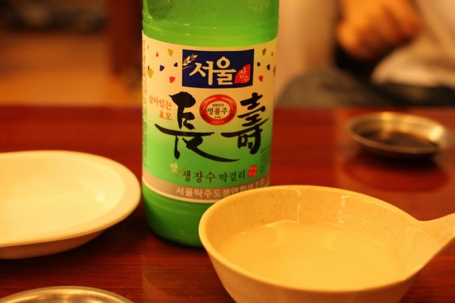 韓国旅行その14 「エバーランドその2＆マッコリ飲み過ぎて・・」_d0148729_1975241.jpg