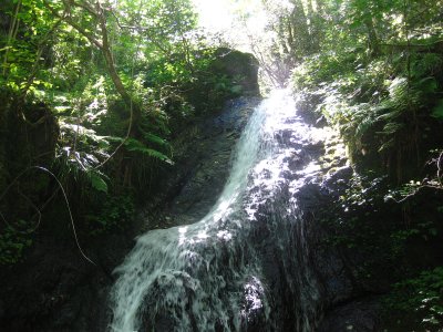b0207632_22263340.jpg