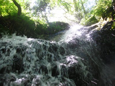 b0207632_22265075.jpg
