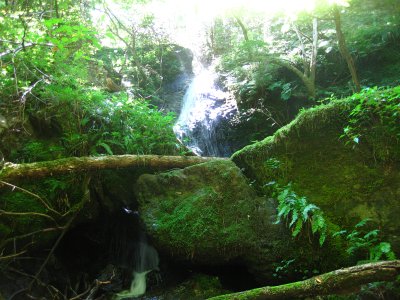b0207632_2226829.jpg