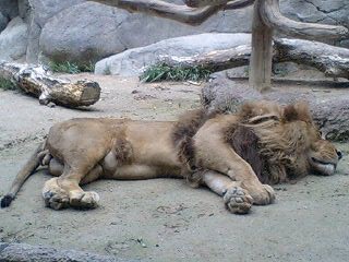 f0210439_14203491.jpg