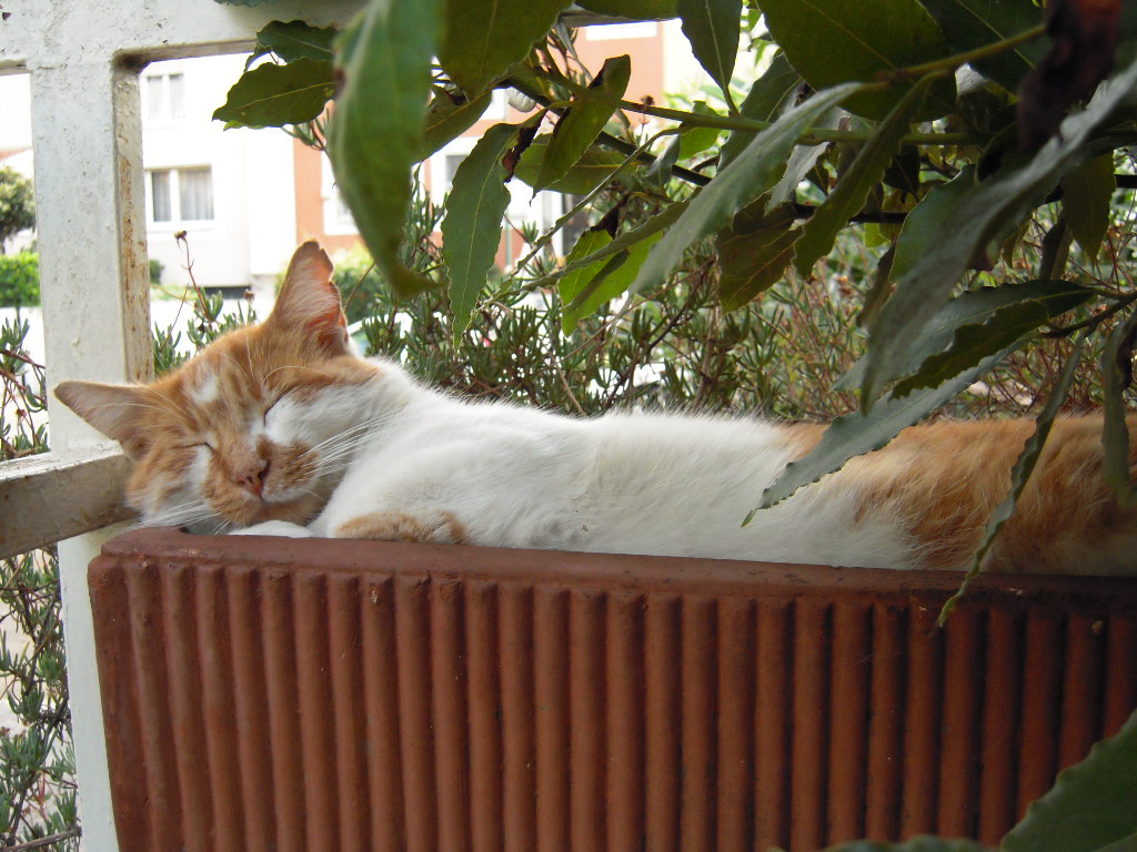 d0170140_05068.jpg