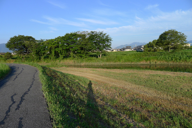b0088444_20403047.jpg