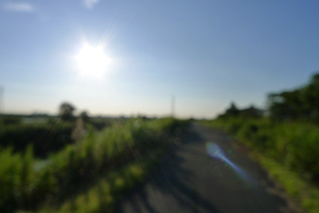 b0088444_2041343.jpg