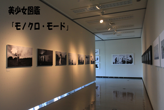 美少女図鑑 特別展 モノクロ モード The Best Shot 美少女図鑑 特別展 モノクロ モード The Best Shot