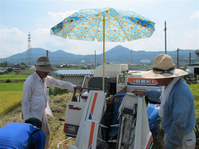 Harvesting rice_c0157558_1905094.jpg
