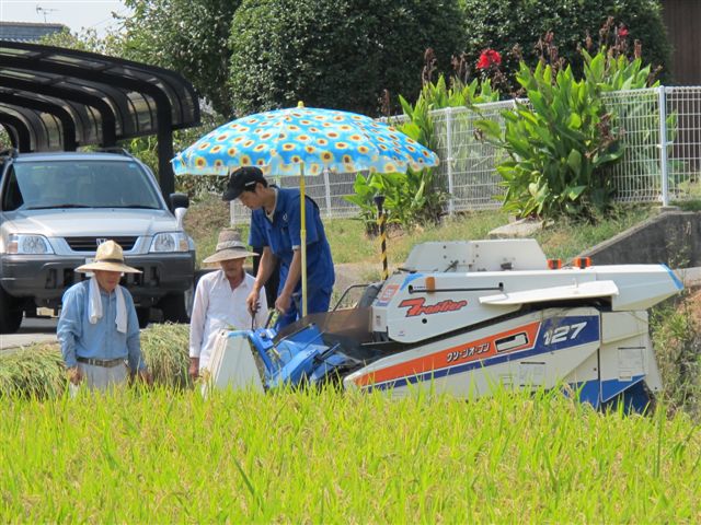 Harvesting rice_c0157558_1911964.jpg