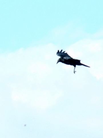 b0165760_21315167.jpg