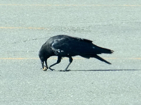 b0165760_21341581.jpg