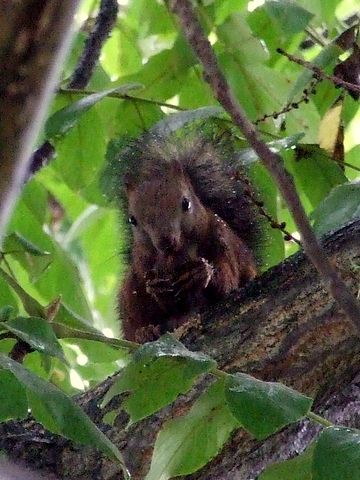 b0165760_22183156.jpg