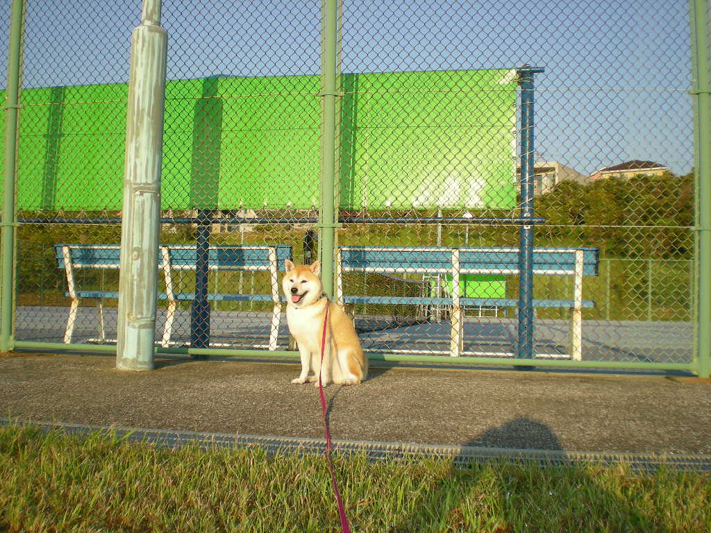 f0060461_9375162.jpg