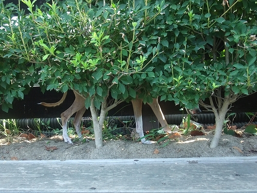 f0158862_20215686.jpg