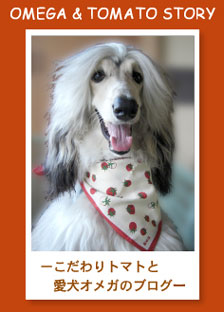 【　お知らせ　】_c0126766_2012231.jpg
