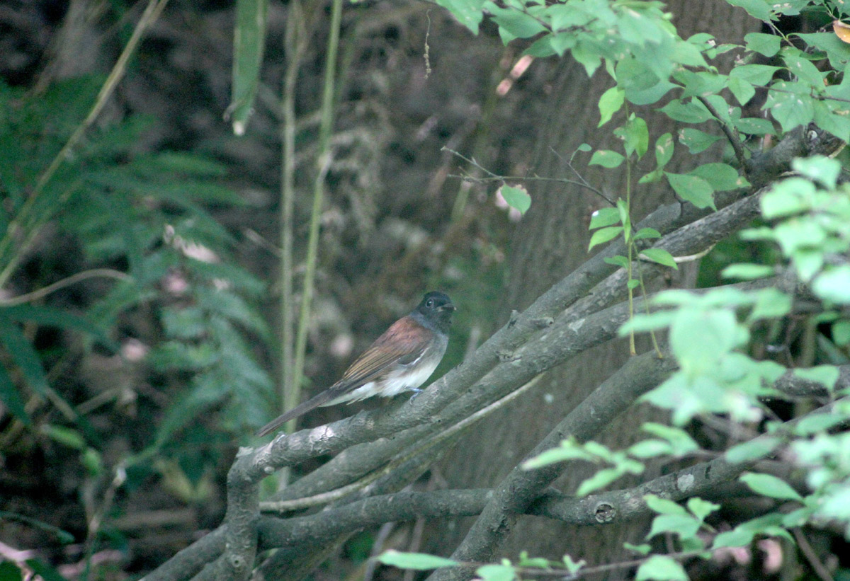 f0215767_2173565.jpg