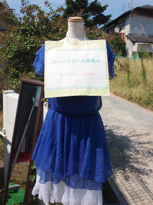 d0163670_1325487.jpg