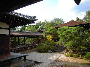 旅日記-4 「仁和寺」_e0033570_11495176.jpg