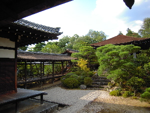 旅日記－４　「仁和寺」_e0033570_11495176.jpg