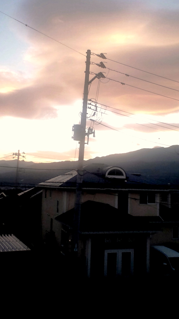 今朝は…_d0159273_82541.jpg