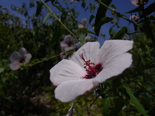 e0181373_21497.jpg