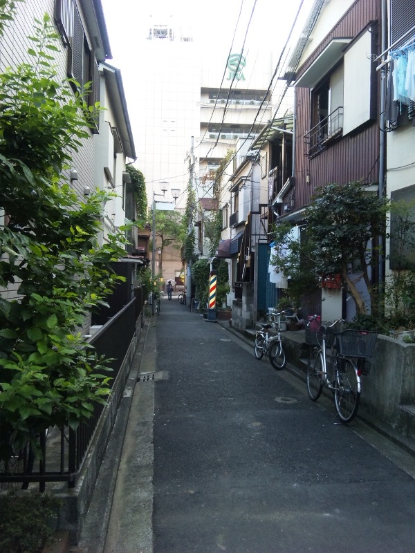 b0054391_8331291.jpg