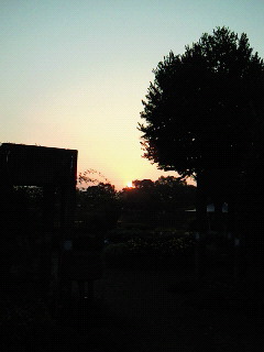 土曜日だ♪_d0091994_7183937.jpg