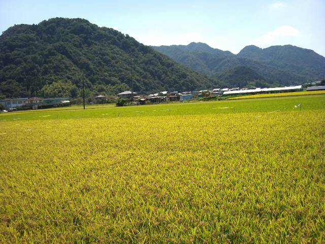 f0151094_23445157.jpg