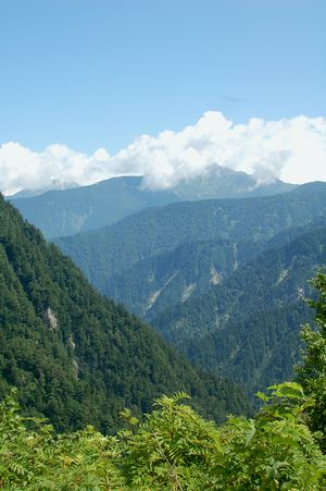 d0163296_1134659.jpg
