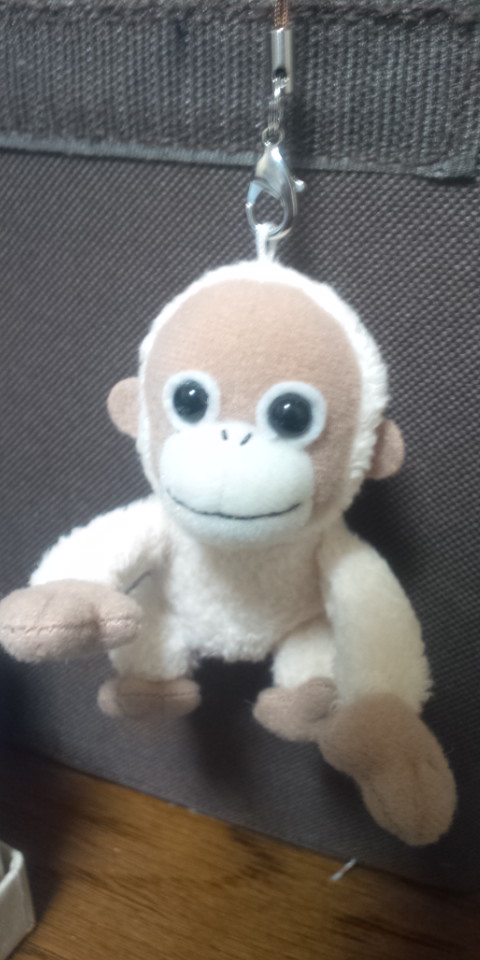 b0136198_22474095.jpg