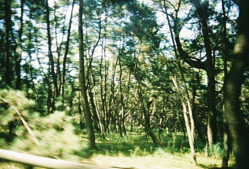 b0199199_10495541.jpg