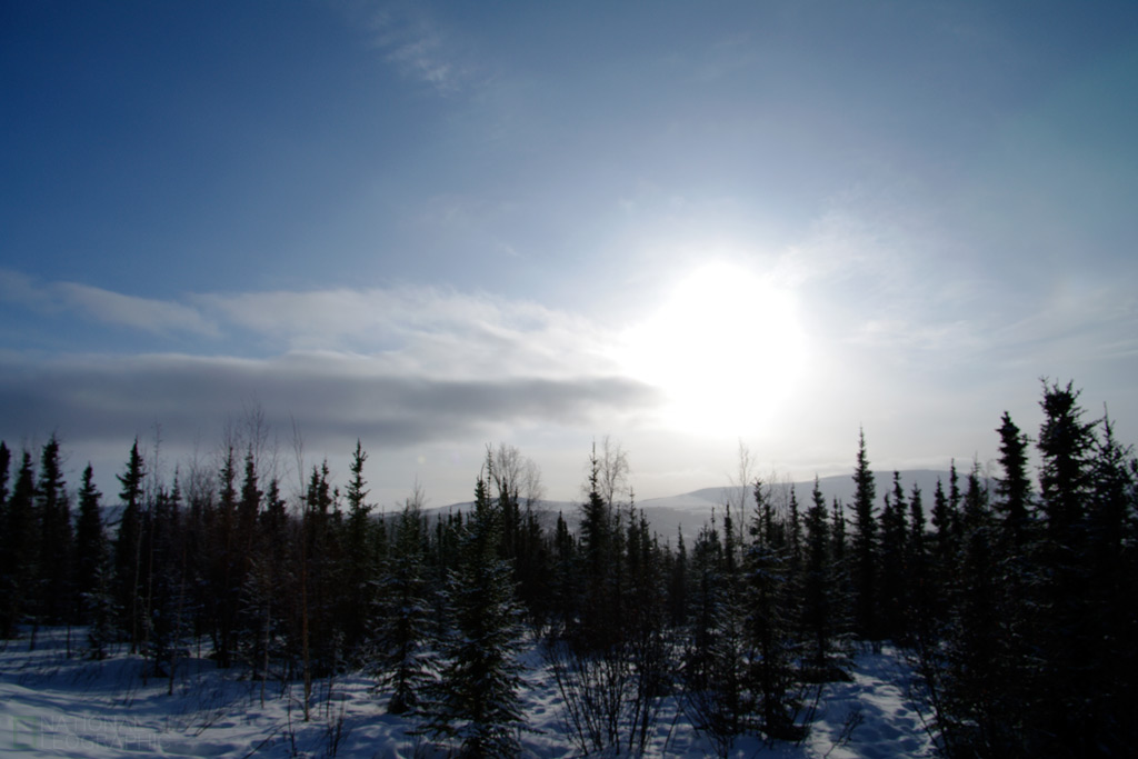 c0080101_1537401.jpg