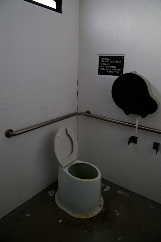 c0080101_15382123.jpg