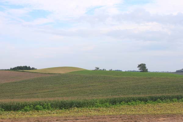 a0149502_15234437.jpg