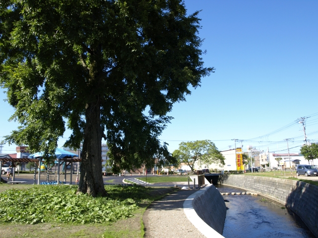 f0020302_21173310.jpg