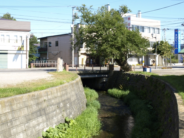 f0020302_2143441.jpg