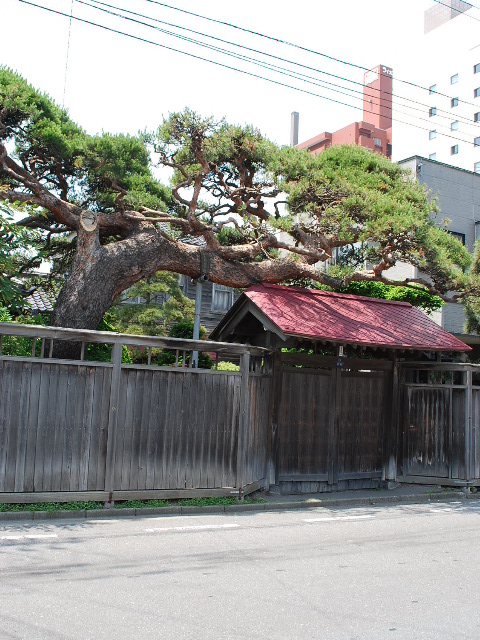 函館文化村とその周辺の住宅群(函館の建築紹介)_f0142606_1915818.jpg