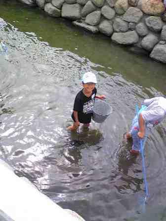 倉安川水辺の生き物調査中_d0047107_681162.jpg