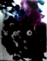 e0103408_133799.gif