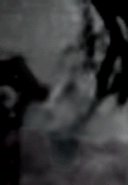 e0103408_13435858.gif