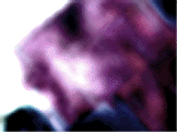 e0103408_13501785.gif