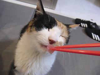 c0201113_21105482.jpg