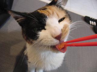 c0201113_21111944.jpg