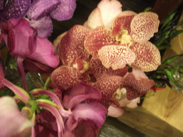 ランの花のご紹介_f0226713_22585967.jpg